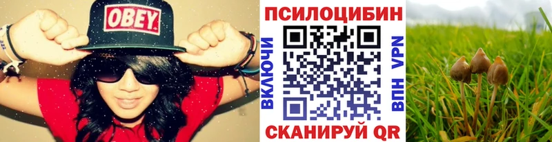 Псилоцибиновые грибы прущие грибы  где найти наркотики  Абдулино 